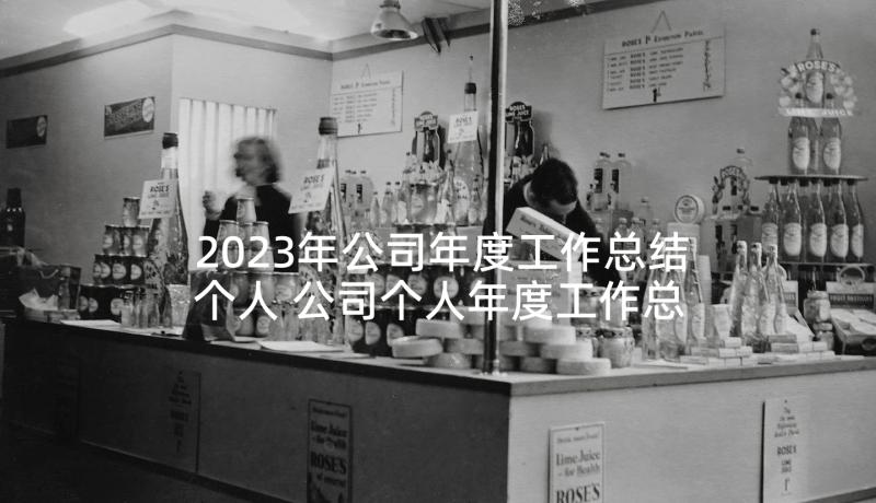 2023年公司年度工作总结个人 公司个人年度工作总结(大全5篇)