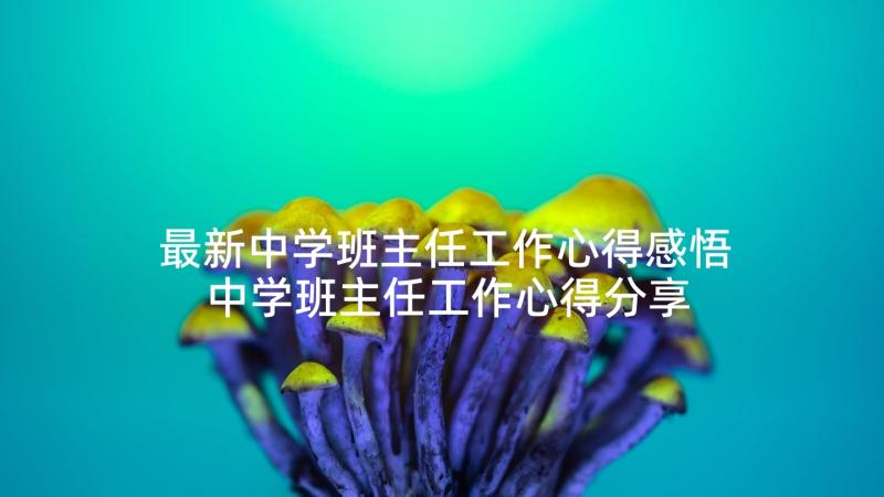 最新中学班主任工作心得感悟 中学班主任工作心得分享(实用6篇)