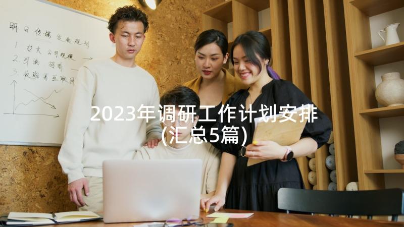 2023年调研工作计划安排(汇总5篇)