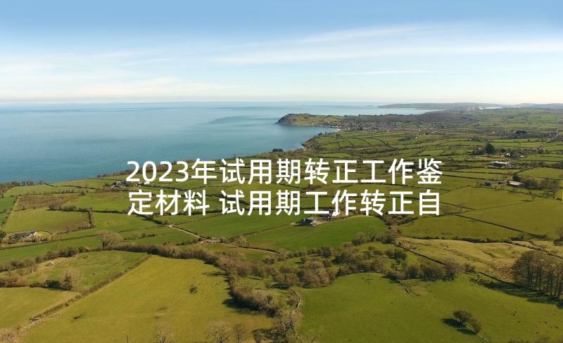 2023年试用期转正工作鉴定材料 试用期工作转正自我鉴定(精选9篇)