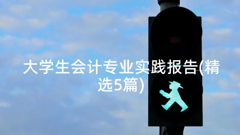 大学生会计专业实践报告(精选5篇)