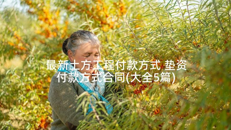 最新土方工程付款方式 垫资付款方式合同(大全5篇)