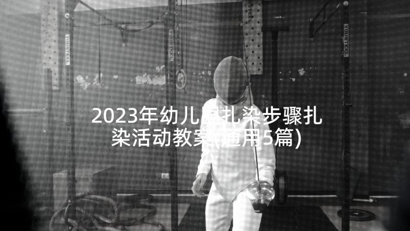 2023年幼儿园扎染步骤扎染活动教案(通用5篇)