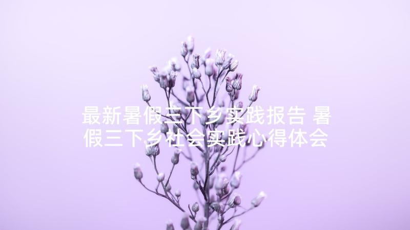 最新暑假三下乡实践报告 暑假三下乡社会实践心得体会(实用10篇)