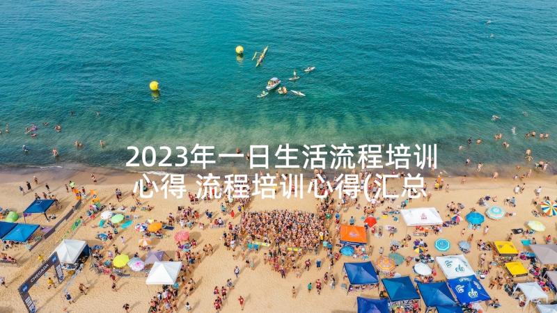 2023年一日生活流程培训心得 流程培训心得(汇总10篇)