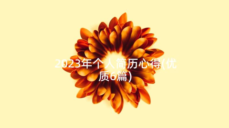 2023年个人简历心得(优质6篇)