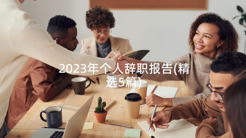 2023年个人辞职报告(精选5篇)