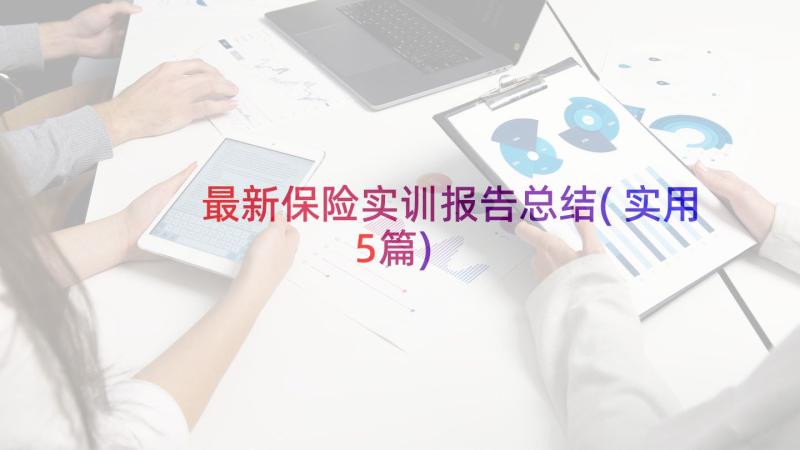 最新保险实训报告总结(实用5篇)