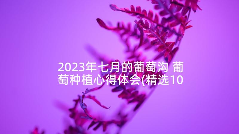 2023年七月的葡萄沟 葡萄种植心得体会(精选10篇)