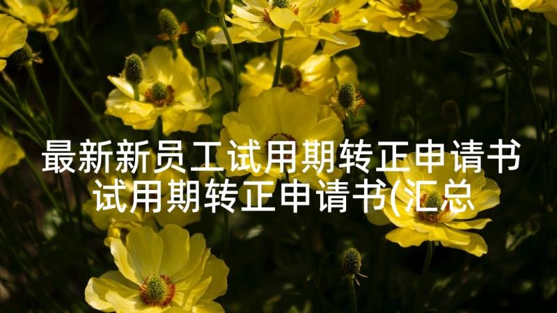 最新新员工试用期转正申请书 试用期转正申请书(汇总5篇)