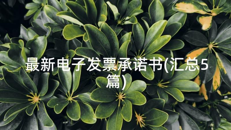 最新电子发票承诺书(汇总5篇)