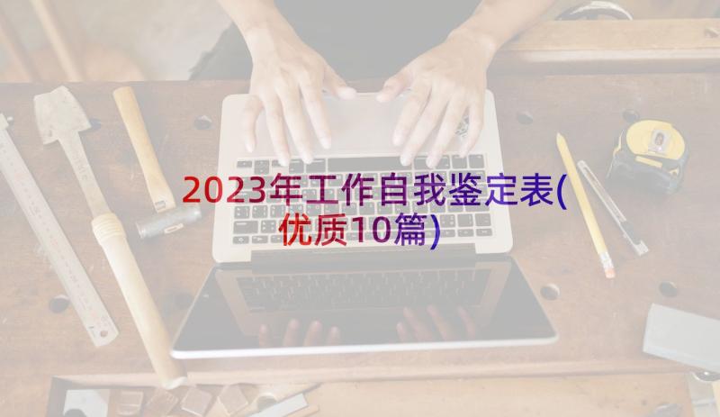 2023年工作自我鉴定表(优质10篇)