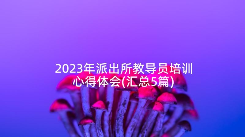 2023年派出所教导员培训心得体会(汇总5篇)