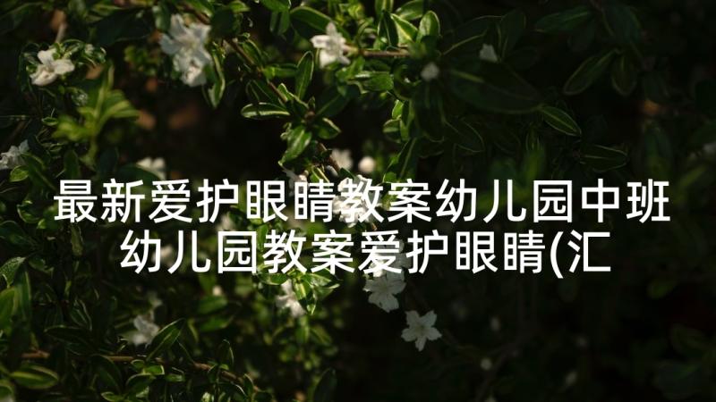 最新爱护眼睛教案幼儿园中班 幼儿园教案爱护眼睛(汇总5篇)