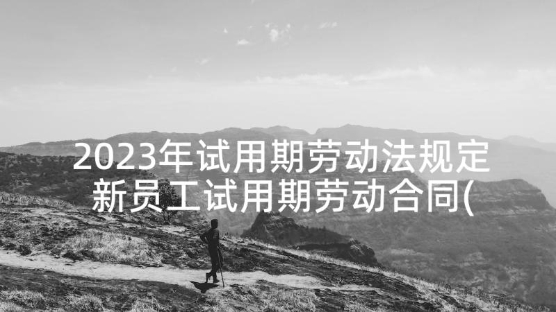 2023年试用期劳动法规定 新员工试用期劳动合同(通用5篇)