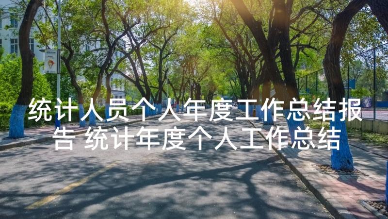 统计人员个人年度工作总结报告 统计年度个人工作总结(大全5篇)