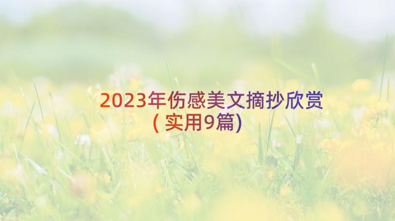 2023年伤感美文摘抄欣赏(实用9篇)