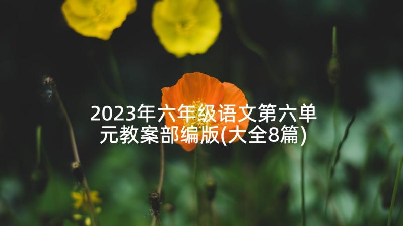 2023年六年级语文第六单元教案部编版(大全8篇)