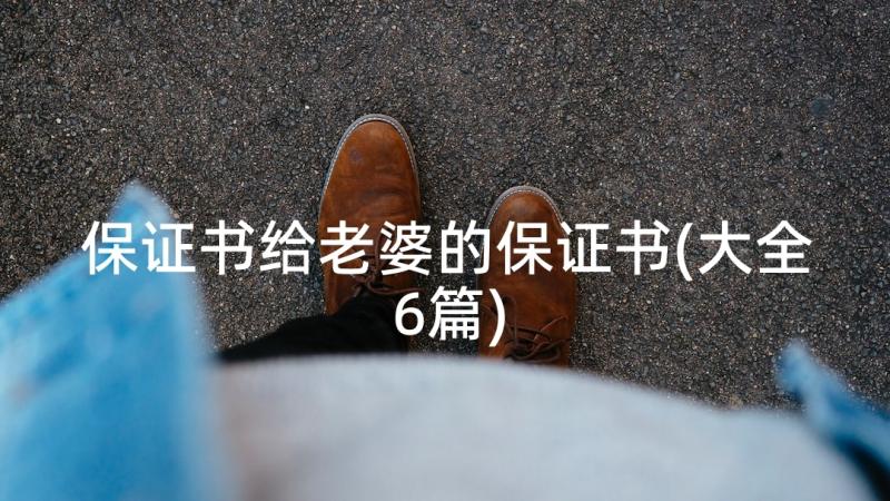 保证书给老婆的保证书(大全6篇)