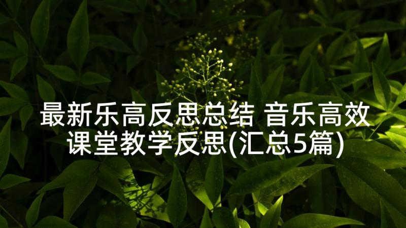 最新乐高反思总结 音乐高效课堂教学反思(汇总5篇)