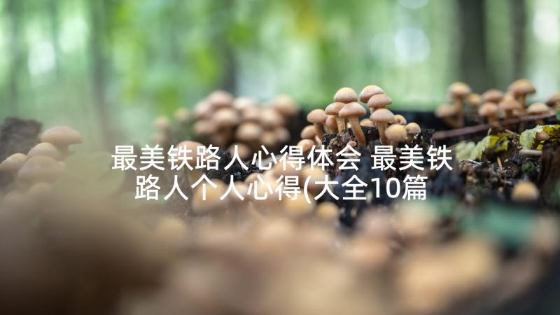 最美铁路人心得体会 最美铁路人个人心得(大全10篇)