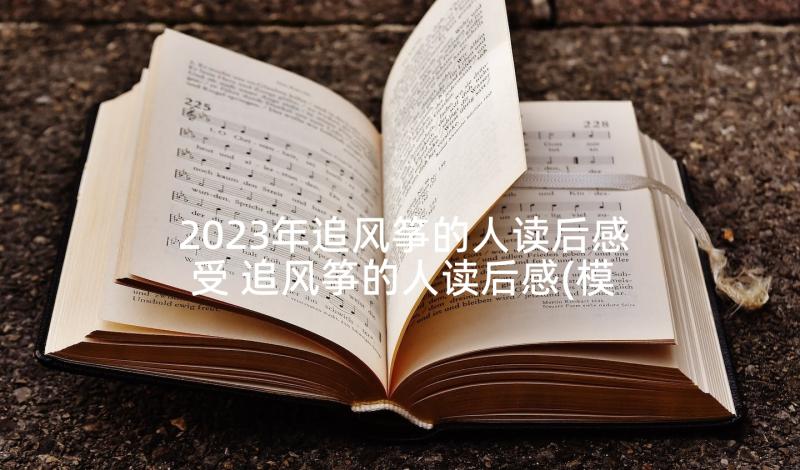 2023年追风筝的人读后感受 追风筝的人读后感(模板8篇)