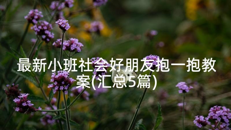 最新小班社会好朋友抱一抱教案(汇总5篇)