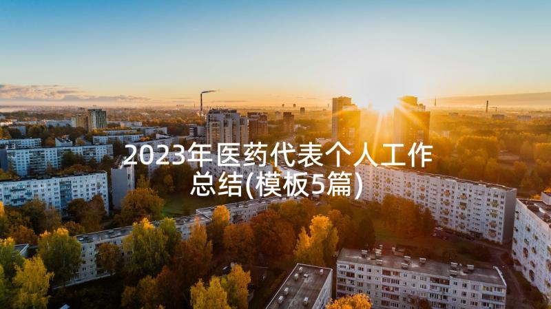 2023年医药代表个人工作总结(模板5篇)