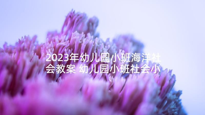 2023年幼儿园小班海洋社会教案 幼儿园小班社会小动物教案(通用5篇)