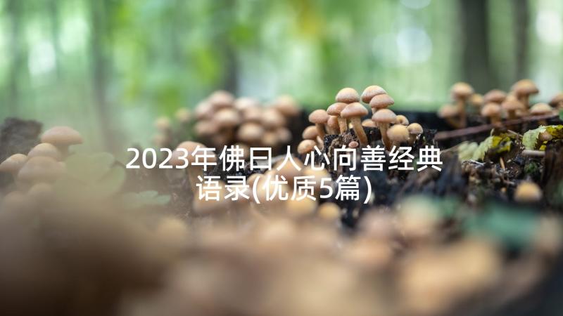 2023年佛曰人心向善经典语录(优质5篇)