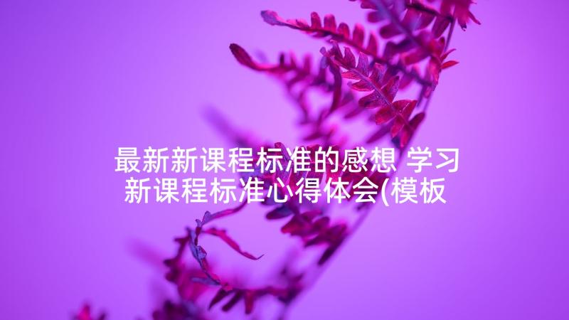 最新新课程标准的感想 学习新课程标准心得体会(模板10篇)