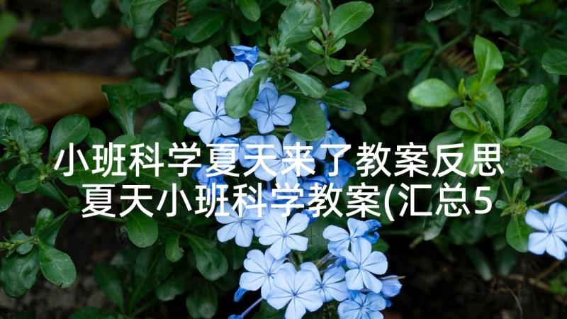 小班科学夏天来了教案反思 夏天小班科学教案(汇总5篇)