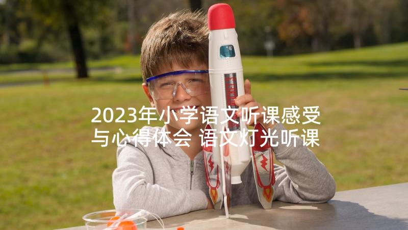 2023年小学语文听课感受与心得体会 语文灯光听课心得体会小学(汇总5篇)