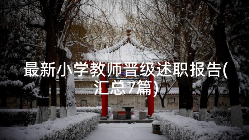 最新小学教师晋级述职报告(汇总7篇)