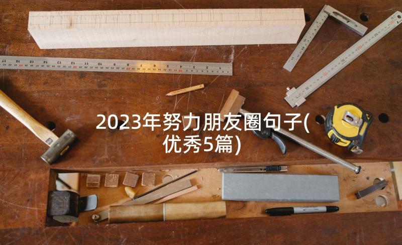 2023年努力朋友圈句子(优秀5篇)