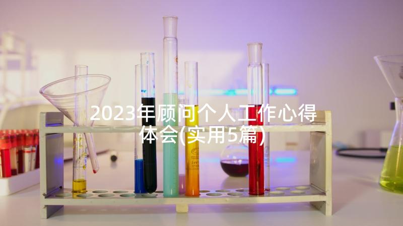 2023年顾问个人工作心得体会(实用5篇)