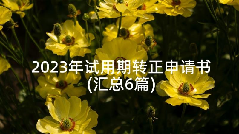 2023年试用期转正申请书(汇总6篇)