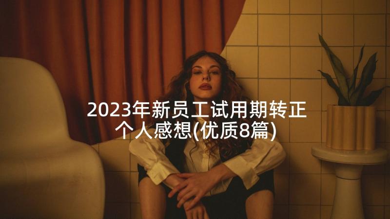 2023年新员工试用期转正个人感想(优质8篇)