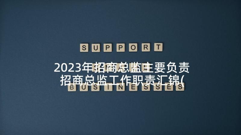 2023年招商总监主要负责 招商总监工作职责汇锦(实用5篇)