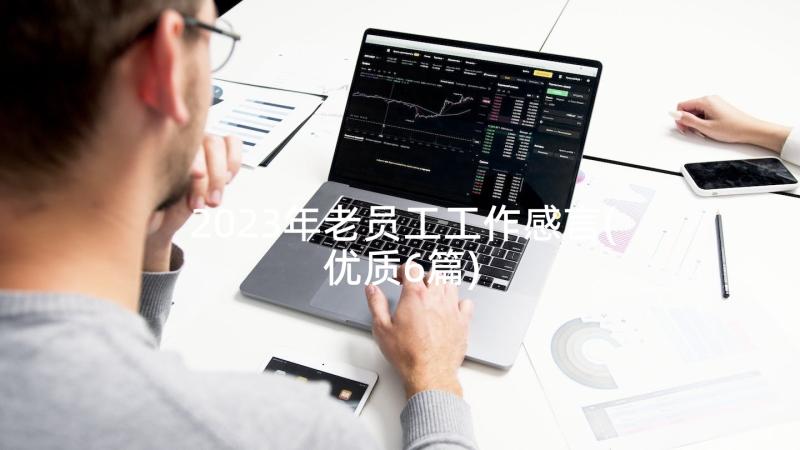 2023年老员工工作感言(优质6篇)