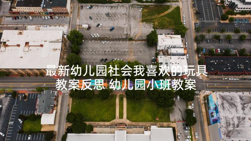 最新幼儿园社会我喜欢的玩具教案反思 幼儿园小班教案社会玩具(大全5篇)