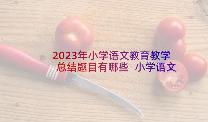 2023年小学语文教育教学总结题目有哪些 小学语文教育教学经验总结(大全9篇)