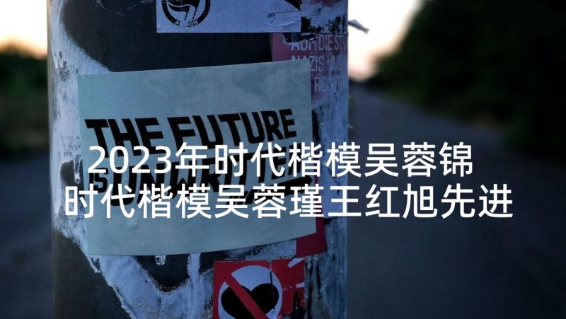 2023年时代楷模吴蓉锦 时代楷模吴蓉瑾王红旭先进事迹学习心得(模板6篇)