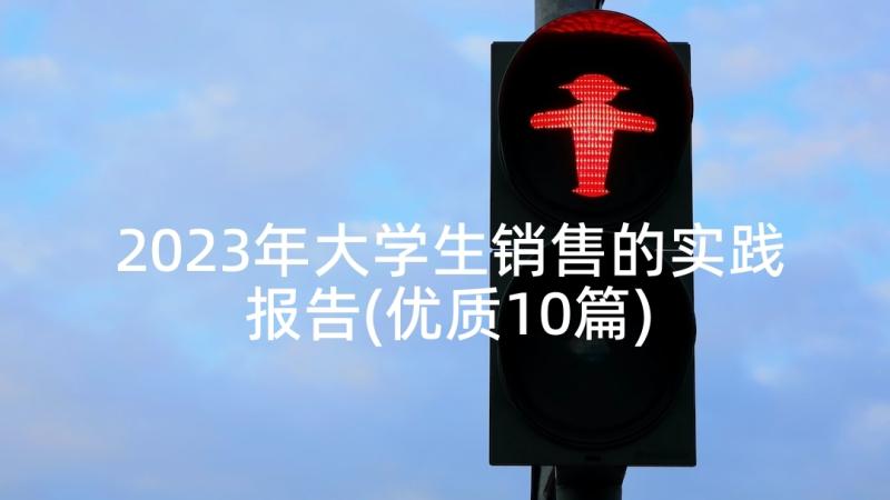 2023年大学生销售的实践报告(优质10篇)