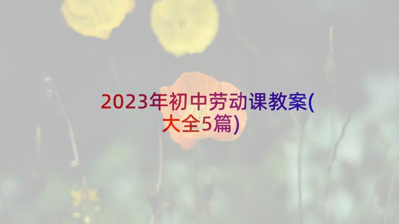 2023年初中劳动课教案(大全5篇)