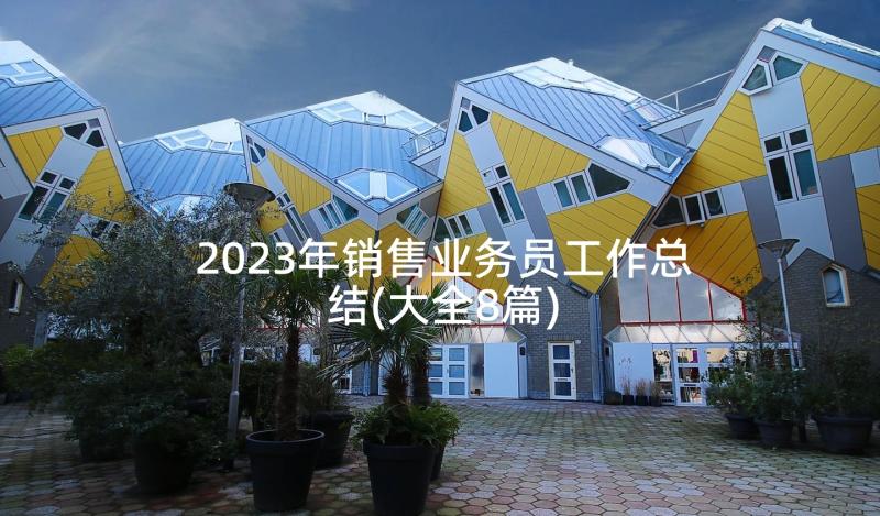 2023年销售业务员工作总结(大全8篇)