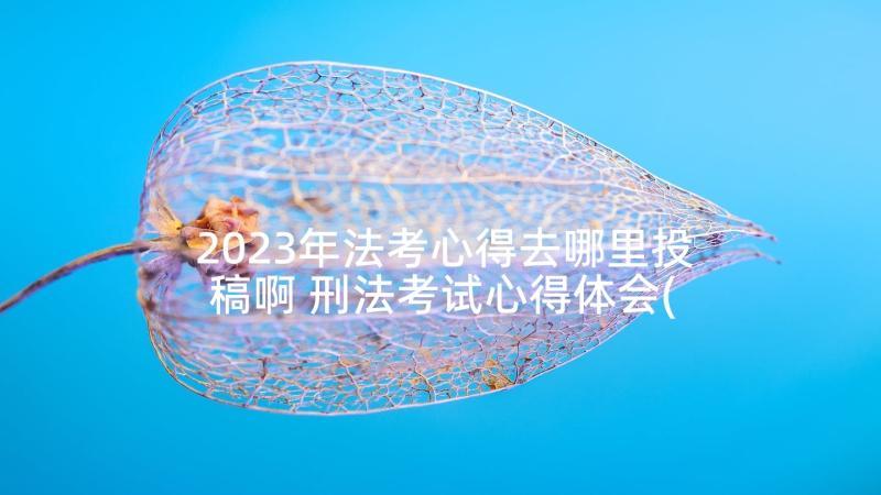 2023年法考心得去哪里投稿啊 刑法考试心得体会(汇总8篇)