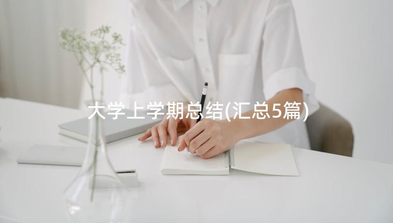 大学上学期总结(汇总5篇)