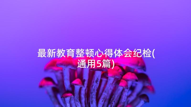 最新教育整顿心得体会纪检(通用5篇)