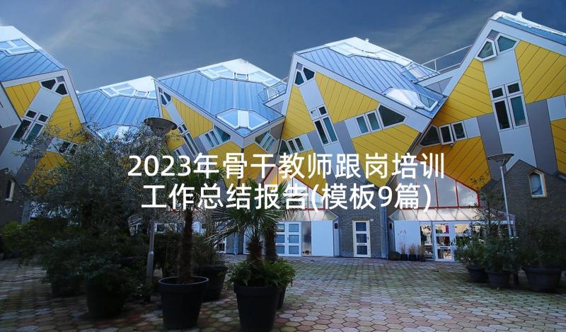 2023年骨干教师跟岗培训工作总结报告(模板9篇)